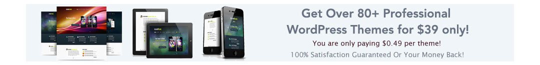 Amazingly Beautiful WordPress Themes
