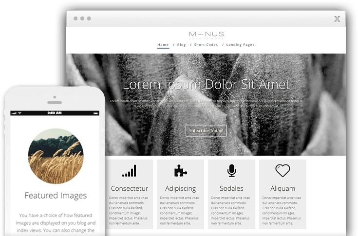 Minus WordPress Multipurpose Landing Page Theme