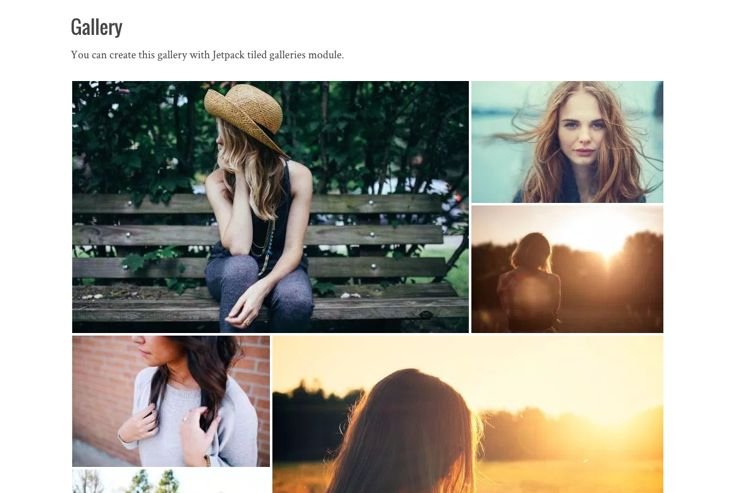 Silvia WordPress Free Grid Layout Creative Photo Theme