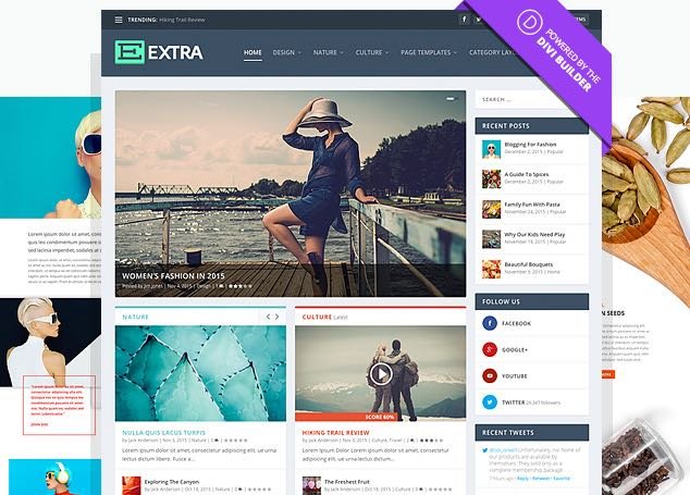 Extra WordPress Magazine Bloggers Theme