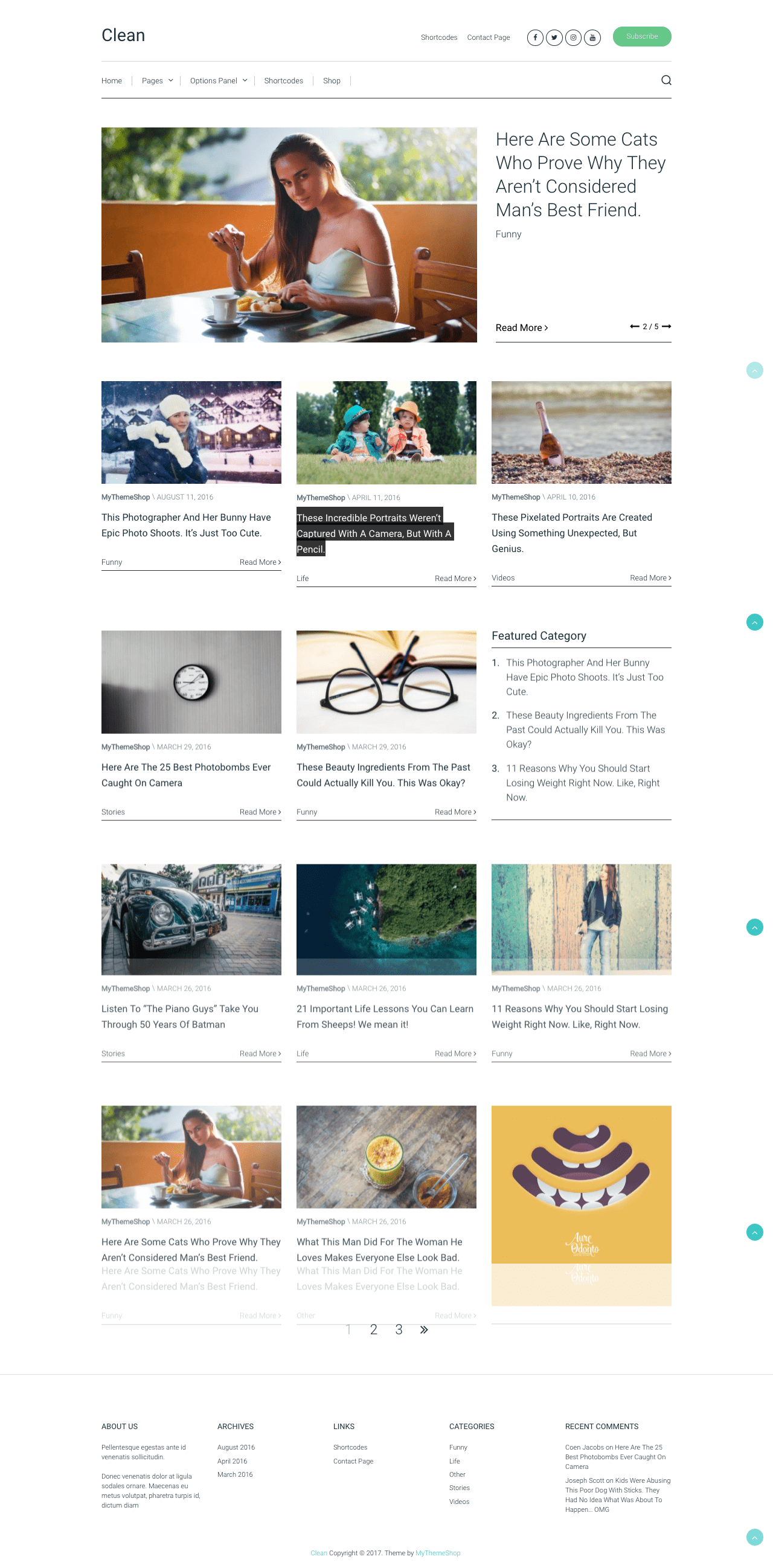 Clean WordPress Theme